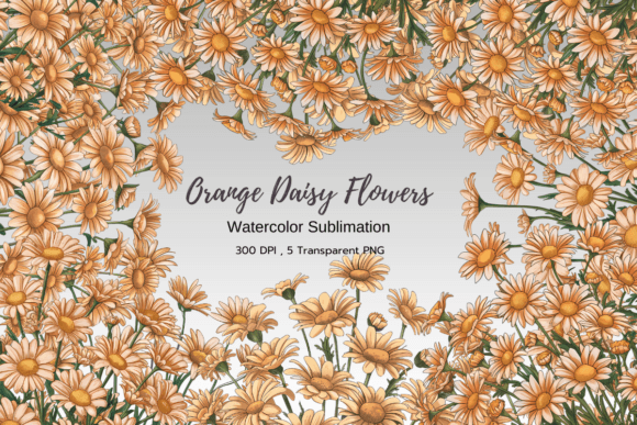 Download Orange Daisy Floral Bouquet Clipart - Clip Collection