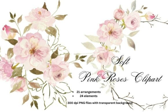Download Soft Pink Roses Watercolor Clipart PNG - Clip Collection