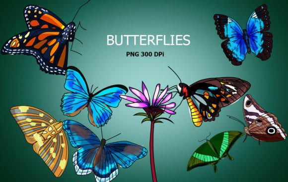 Download Butterflies Clip Art - Clip Collection