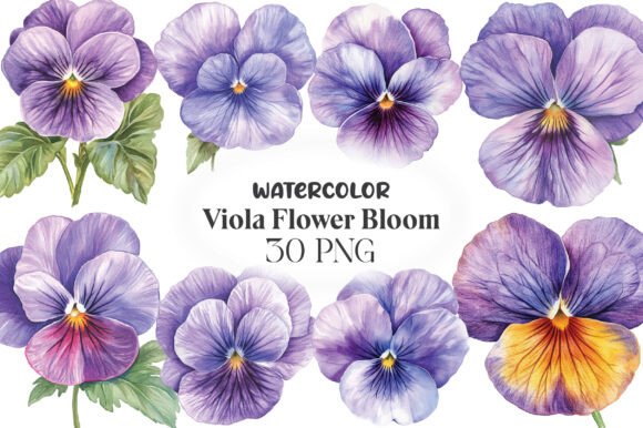 Download Viola Flower Bloom Clipart - Clip Collection