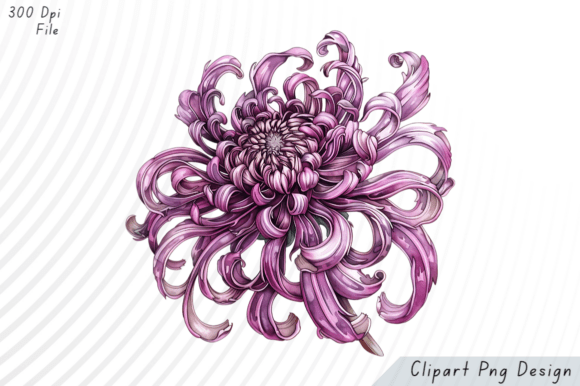 Download Purple Chrysanthemum Flower PNG Clipart - Clip Collection