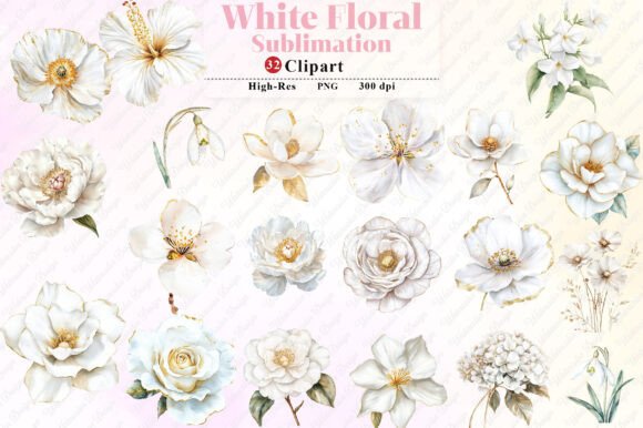 Download Watercolor White Floral Clipart - Clip Collection