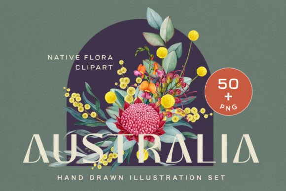 Download Australia Flora Watercolor Clipart - Clip Collection