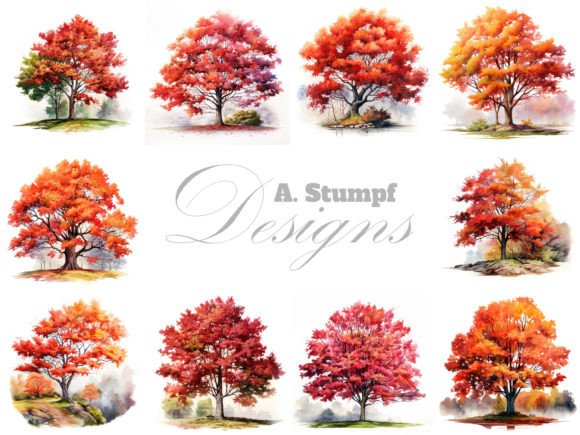 Download Maple Tree Watercolor Nature Clipart Set - Clip Collection
