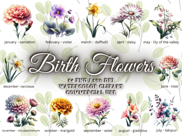 Download Birth Month Flower Clipart - Flower Png - Clip Collection