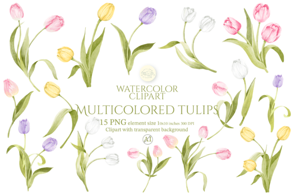 Download Watercolor Multicolored Tulips Clipart - Clip Collection