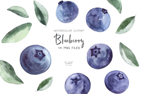 Download Blueberries Watercolor Clipart - Clip Collection