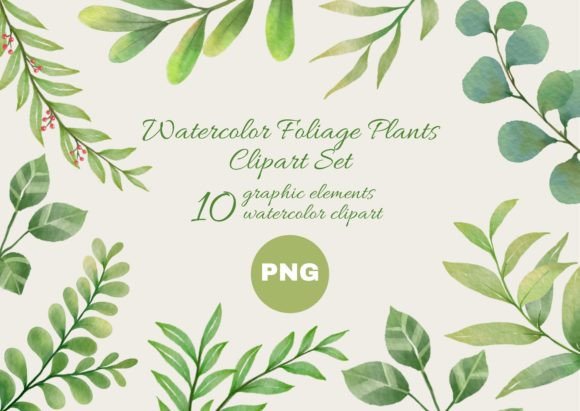 Download Watercolor Foliage Plants Clipart Set - Clip Collection