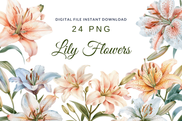 Download Watercolor Lilies Flower Lily Clipart - Clip Collection