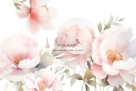 Download Watercolor Peony Clipart Collection - Clip Collection