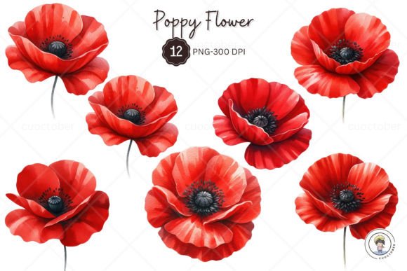 Download Watercolor Red Poppy Flower Clipart - Clip Collection