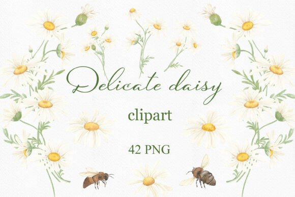 Download Watercolor Summer Daisy Clipart, Wreath. - Clip Collection