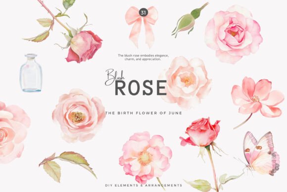 Download Watercolor Clipart Birth Month Flower - Clip Collection