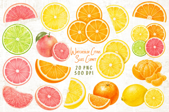 Download Watercolor Citrus Slice Clipart PNG - Clip Collection