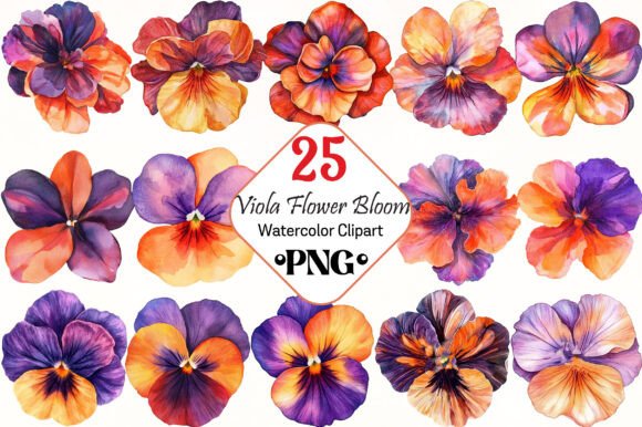 Download Viola Flower Bloom Clipart - Clip Collection