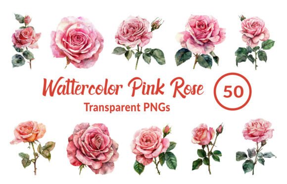 Download Watercolor Pink Rose Clipart - Clip Collection