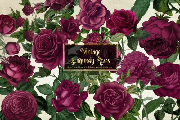 Download Vintage Burgundy Roses Clipart - Clip Collection