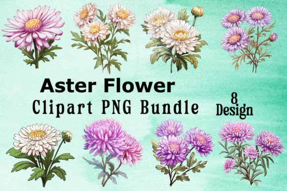 Download Aster Flower Clipart Bundle - Clip Collection