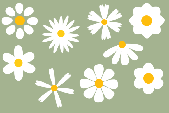 Download Cute Daisy Clipart Illustration - Clip Collection