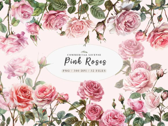 Download Watercolor Pink Rose Clipart, Blush Rose - Clip Collection