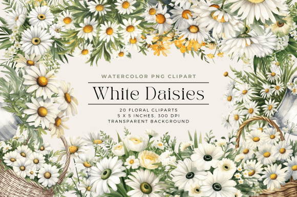 Download Watercolor White Daisies Flower Clipart - Clip Collection