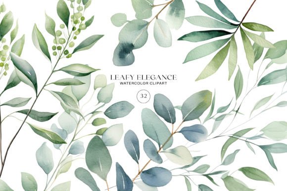 Download Watercolor Eucalyptus Leaf Clipart Set - Clip Collection