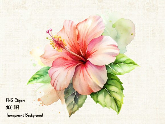 Download Soft Pink Hibiscus Flower PNG Clipart - Clip Collection