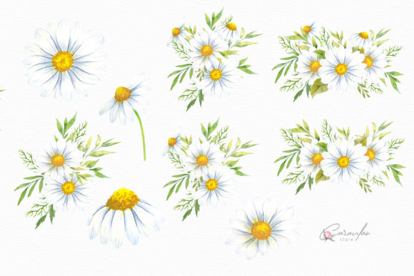 Download Watercolor Daisies Bouquets Clipart - Clip Collection