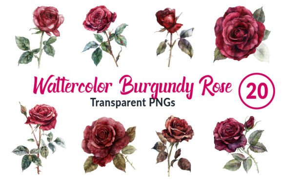 Download Watercolor Burgundy Rose Clipart - Clip Collection