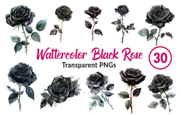 Download Watercolor Black Rose Clipart - Clip Collection