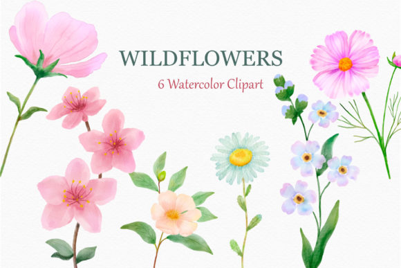 Download Wildflowers Watercolor Clipart Daisy - Clip Collection