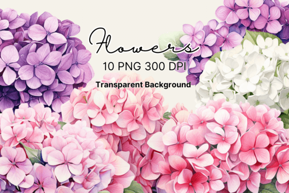 Download Watercolor Hydrangea Flowers Clipart - Clip Collection