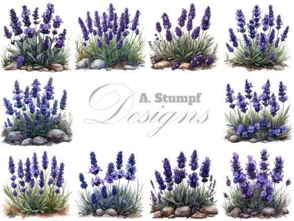 Download Lavender Flowers Clipart Set Floral Art - Clip Collection
