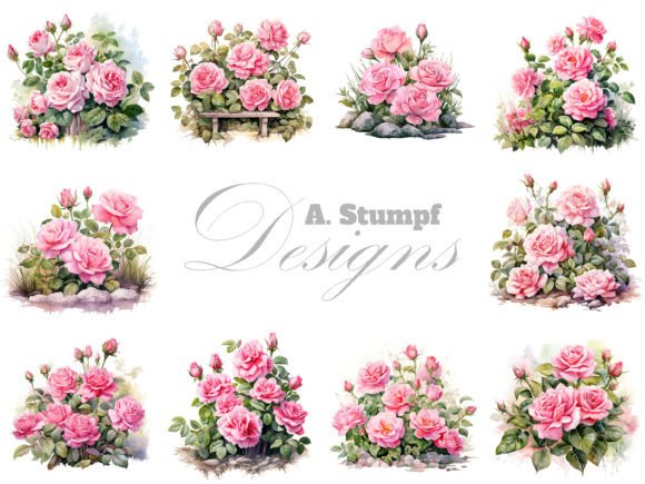 Download Pink Roses Clipart Set Watercolor Flower - Clip Collection