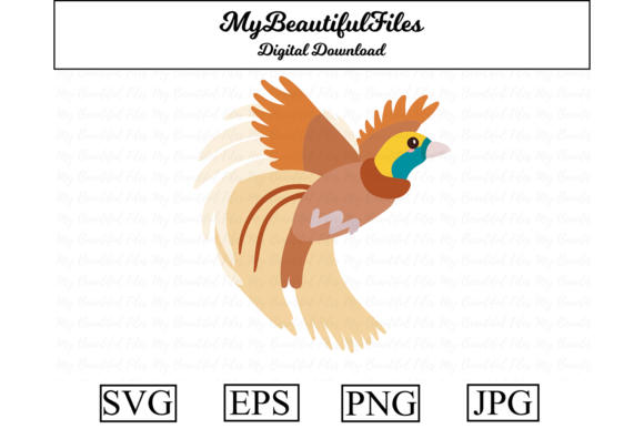 Download Bird of Paradise Clipart Design - Clip Collection