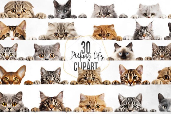 Download Peeking Cats Sublimation Clipart - Clip Collection