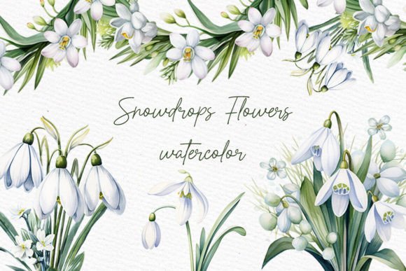 Download Snow Drops Clipart Spring Flowers PNG - Clip Collection