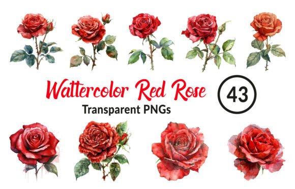 Download Watercolor Red Rose Clipart - Clip Collection