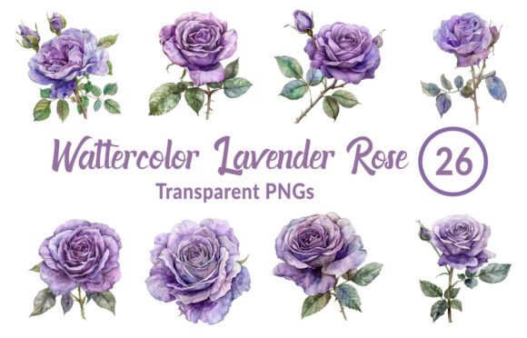 Download Watercolor Lavender Rose Clipart - Clip Collection