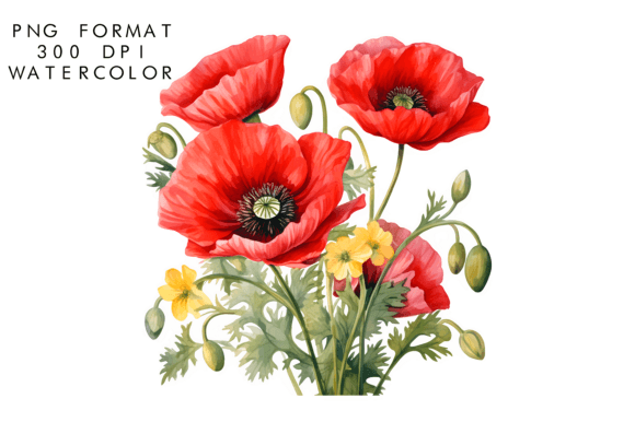 Download Watercolor Poppy Flower Clipart - Clip Collection