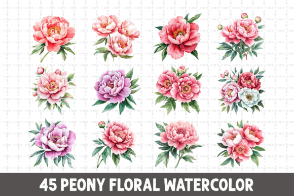 Download Peony Floral Watercolor Clipart Bundle - Clip Collection