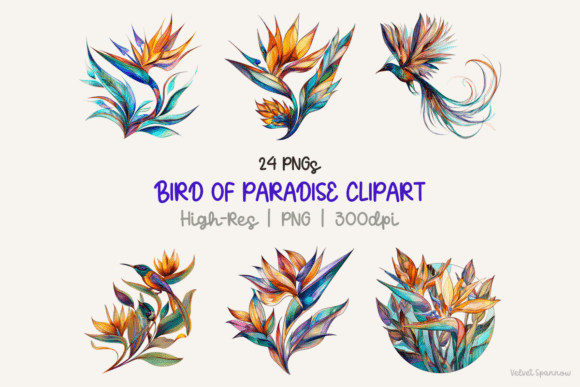 Download Bird of Paradise Clipart - Clip Collection