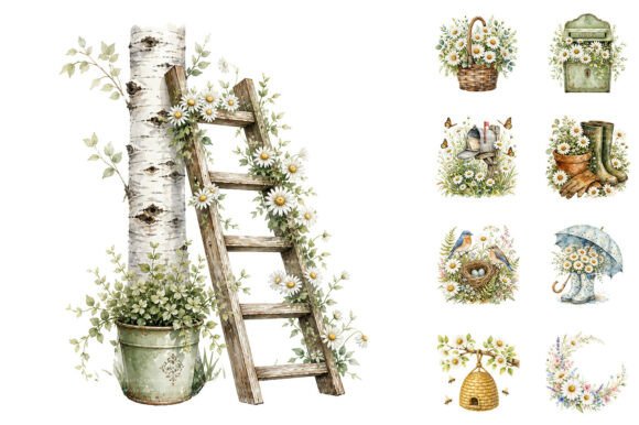 Download Watercolor Spring Daisy Clipart Bundle - Clip Collection