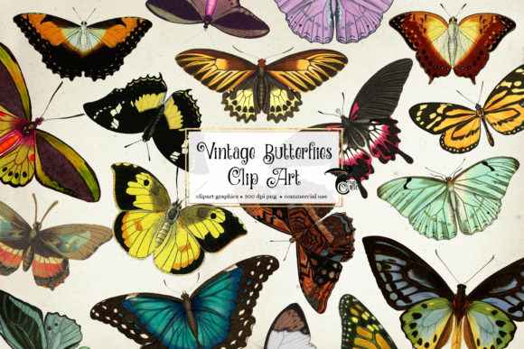 Download Vintage Butterflies Clip Art - Clip Collection
