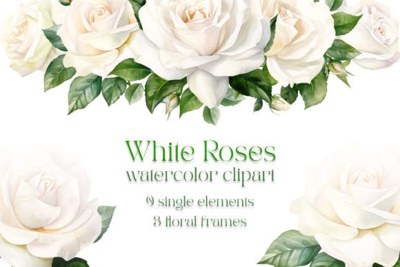 Download Watercolor White Roses Clipart - Clip Collection
