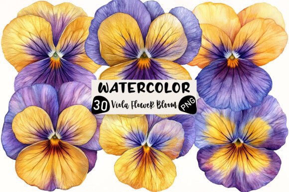 Download Viola Flower Bloom Clipart - Clip Collection