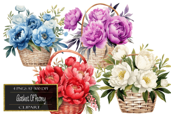Download Watercolor Basket of Peony Clipart - Clip Collection