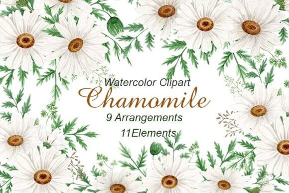Download Watercolor Daisy Flowers Clipart. Png - Clip Collection