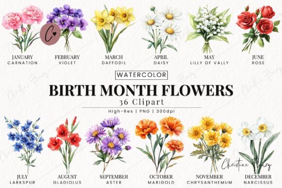 Download Birth Month Flower Clipart Bundle - Clip Collection