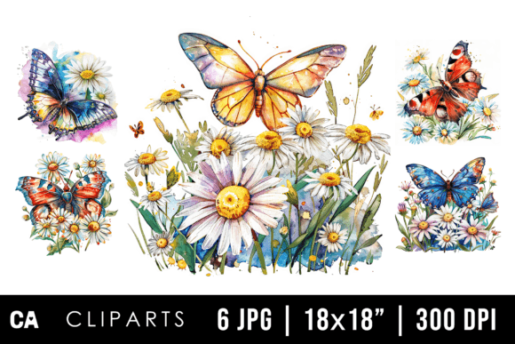 Download Watercolor Daisy &amp; Butterfly Cliparts - Clip Collection